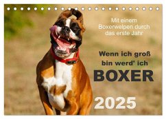 Wenn ich groß bin werd' ich Boxer (Tischkalender 2025 DIN A5 quer), CALVENDO Monatskalender - Calvendo;Mielke, Kerstin