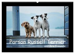 Parson Russell Terrier (Wandkalender 2025 DIN A2 quer), CALVENDO Monatskalender - Calvendo;Köntopp, Kathrin