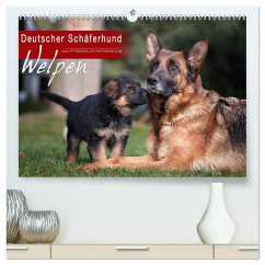 Deutscher Schäferhund - Welpen (hochwertiger Premium Wandkalender 2025 DIN A2 quer), Kunstdruck in Hochglanz - Calvendo;Schiller, Petra