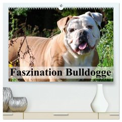 Faszination Bulldogge (hochwertiger Premium Wandkalender 2025 DIN A2 quer), Kunstdruck in Hochglanz