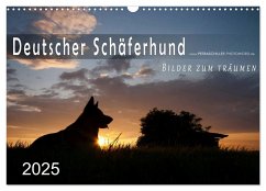 Deutscher Schäferhund / CH-Version (Wandkalender 2025 DIN A3 quer), CALVENDO Monatskalender