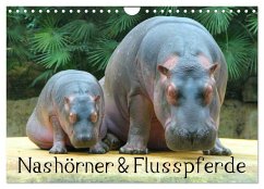 Nashörner & Flusspferde (Wandkalender 2025 DIN A4 quer), CALVENDO Monatskalender