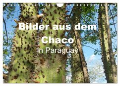 Bilder aus dem Chaco in Paraguay (Wandkalender 2025 DIN A4 quer), CALVENDO Monatskalender - Calvendo;Montfort, Kristin Gräfin von