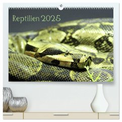 Reptilien 2025 (hochwertiger Premium Wandkalender 2025 DIN A2 quer), Kunstdruck in Hochglanz - Calvendo;lajavi.com