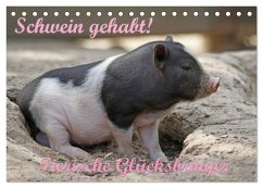Schwein gehabt! (Tischkalender 2025 DIN A5 quer), CALVENDO Monatskalender