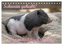 Schwein gehabt! (Tischkalender 2025 DIN A5 quer), CALVENDO Monatskalender - Calvendo;Lindert-Rottke, Antje