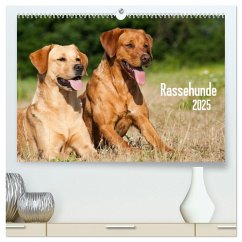 Rassehunde (hochwertiger Premium Wandkalender 2025 DIN A2 quer), Kunstdruck in Hochglanz