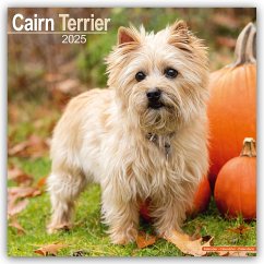 Cover Cairn Terrier - Cairn Terrier 2025 - 16-Monatskalender
