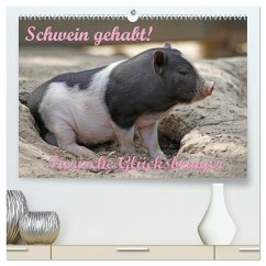 Schwein gehabt! (hochwertiger Premium Wandkalender 2025 DIN A2 quer), Kunstdruck in Hochglanz