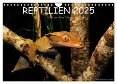 REPTILIEN (Wandkalender 2025 DIN A4 quer), CALVENDO Monatskalender - Calvendo;Trapp, Benny