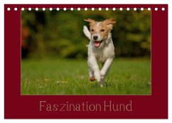 Faszination Hund (Tischkalender 2025 DIN A5 quer), CALVENDO Monatskalender - Calvendo;Bischof, Tierfotografie Bischof, Melanie