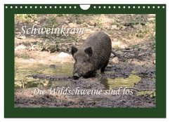Schweinkram - Die Wildschweine sind los (Wandkalender 2025 DIN A4 quer), CALVENDO Monatskalender