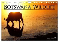 Botswana Wildlife (Wandkalender 2025 DIN A4 quer), CALVENDO Monatskalender