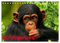 Schimpansen (Tischkalender 2025 DIN A5 quer), CALVENDO Monatskalender - Calvendo;Stanzer, Elisabeth