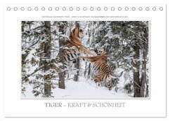 Emotionale Momente: Tiger - Kraft & Schönheit. / CH-Version (Tischkalender 2025 DIN A5 quer), CALVENDO Monatskalender