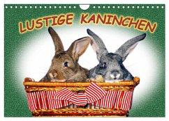 Lustige Kaninchen (Wandkalender 2025 DIN A4 quer), CALVENDO Monatskalender