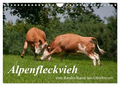 Alpenfleckvieh (Wandkalender 2025 DIN A4 quer), CALVENDO Monatskalender