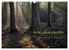 Waldkalender (Wandkalender 2025 DIN A3 quer), CALVENDO Monatskalender