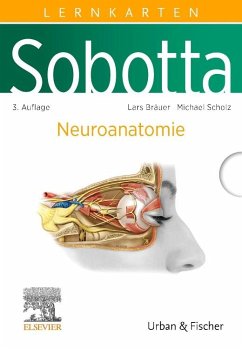 Sobotta Lernkarten Neuroanatomie - Bräuer, Lars;Scholz, Michael