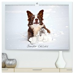 Border Collies (hochwertiger Premium Wandkalender 2025 DIN A2 quer), Kunstdruck in Hochglanz