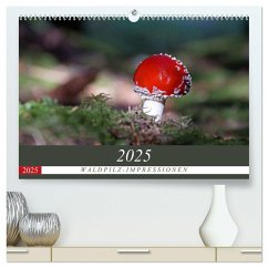 Waldpilz-Impressionen (hochwertiger Premium Wandkalender 2025 DIN A2 quer), Kunstdruck in Hochglanz - Calvendo;Flori0