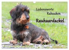 Liebenswerte Rabauken Rauhaardackel / CH-Version (Wandkalender 2025 DIN A3 quer), CALVENDO Monatskalender