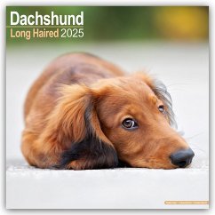 Cover Longhaired Dachshund - Langhaardackel 2025 - 16-Monatskalender