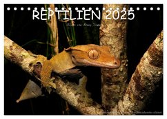 REPTILIEN (Tischkalender 2025 DIN A5 quer), CALVENDO Monatskalender - Calvendo;Trapp, Benny