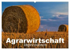 Agrarwirtschaft - Impressionen (Wandkalender 2025 DIN A2 quer), CALVENDO Monatskalender