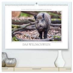 Emotionale Momente: Das Wildschwein. / CH-Version (hochwertiger Premium Wandkalender 2025 DIN A2 quer), Kunstdruck in Hochglanz