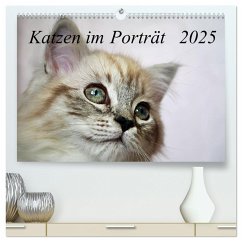 Katzen im Porträt / Geburtstagskalender (hochwertiger Premium Wandkalender 2025 DIN A2 quer), Kunstdruck in Hochglanz - Calvendo;Chrystal, Jennifer