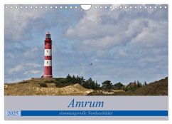 Amrum - stimmungsvolle Nordseebilder (Wandkalender 2025 DIN A4 quer), CALVENDO Monatskalender - Calvendo;Potratz, Andrea