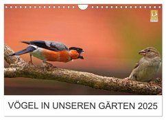 Vögel in unseren Gärten 2025 (Wandkalender 2025 DIN A4 quer), CALVENDO Monatskalender