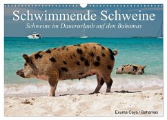 Schwimmende Schweine (Wandkalender 2025 DIN A3 quer), CALVENDO Monatskalender