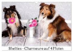 Shelties : Charmeure auf 4 Pfoten (Wandkalender 2025 DIN A3 quer), CALVENDO Monatskalender