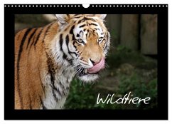 Wildtiere (Wandkalender 2025 DIN A3 quer), CALVENDO Monatskalender