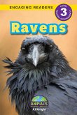 Ravens