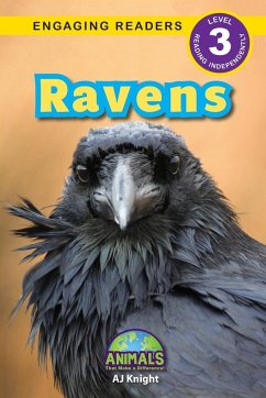 Ravens - Knight, Aj