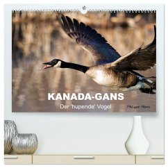 KANADA-GANS - Der 'hupende' Vogel (hochwertiger Premium Wandkalender 2025 DIN A2 quer), Kunstdruck in Hochglanz