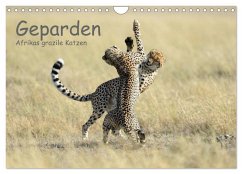 Geparden - Afrikas grazile Katzen (Wandkalender 2025 DIN A4 quer), CALVENDO Monatskalender - Calvendo;Jürs, Thorsten