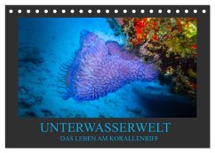 Unterwasserwelt - Das Leben am Korallenriff (Tischkalender 2025 DIN A5 quer), CALVENDO Monatskalender