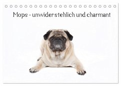 Mops - unwiderstehlich und charmant (Tischkalender 2025 DIN A5 quer), CALVENDO Monatskalender