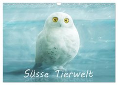 Süsse Tierwelt / Geburtstagskalender (Wandkalender 2025 DIN A3 quer), CALVENDO Monatskalender