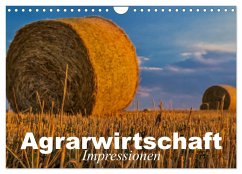 Agrarwirtschaft - Impressionen (Wandkalender 2025 DIN A4 quer), CALVENDO Monatskalender