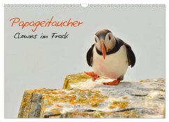 Papageitaucher - Clowns im Frack (Wandkalender 2025 DIN A3 quer), CALVENDO Monatskalender