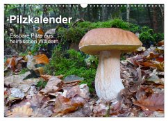 Pilzkalender (Wandkalender 2025 DIN A3 quer), CALVENDO Monatskalender - Calvendo;Bindig, Rudolf