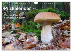 Pilzkalender (Wandkalender 2025 DIN A4 quer), CALVENDO Monatskalender