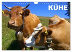 Kühe / Geburtstagskalender (Wandkalender 2025 DIN A4 quer), CALVENDO Monatskalender
