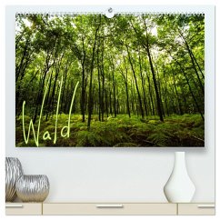 Wald (hochwertiger Premium Wandkalender 2025 DIN A2 quer), Kunstdruck in Hochglanz