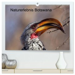 Naturerlebnis Botswana (hochwertiger Premium Wandkalender 2025 DIN A2 quer), Kunstdruck in Hochglanz - Calvendo;Bruechle, Willy